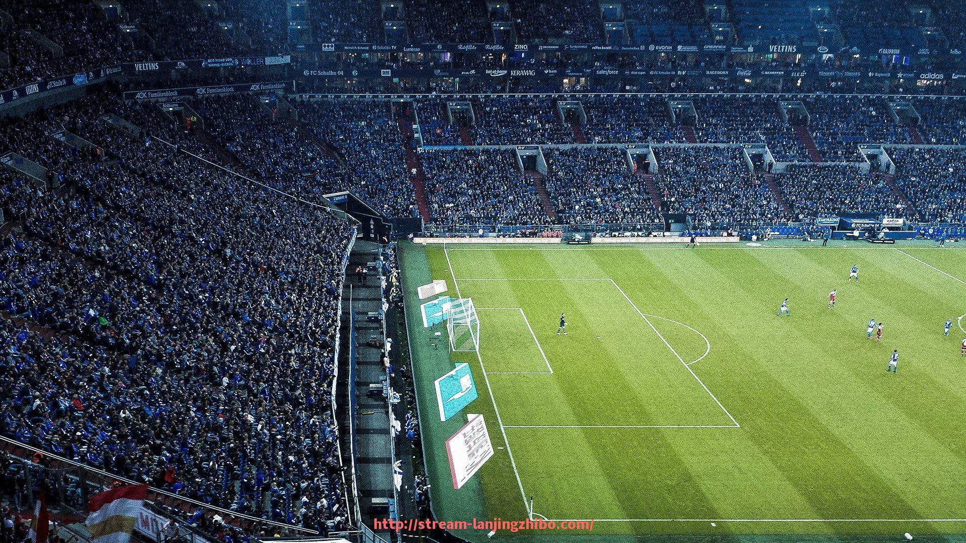 蓝鲸体育直播-国产品牌健身器材推荐及市场竞争力分析