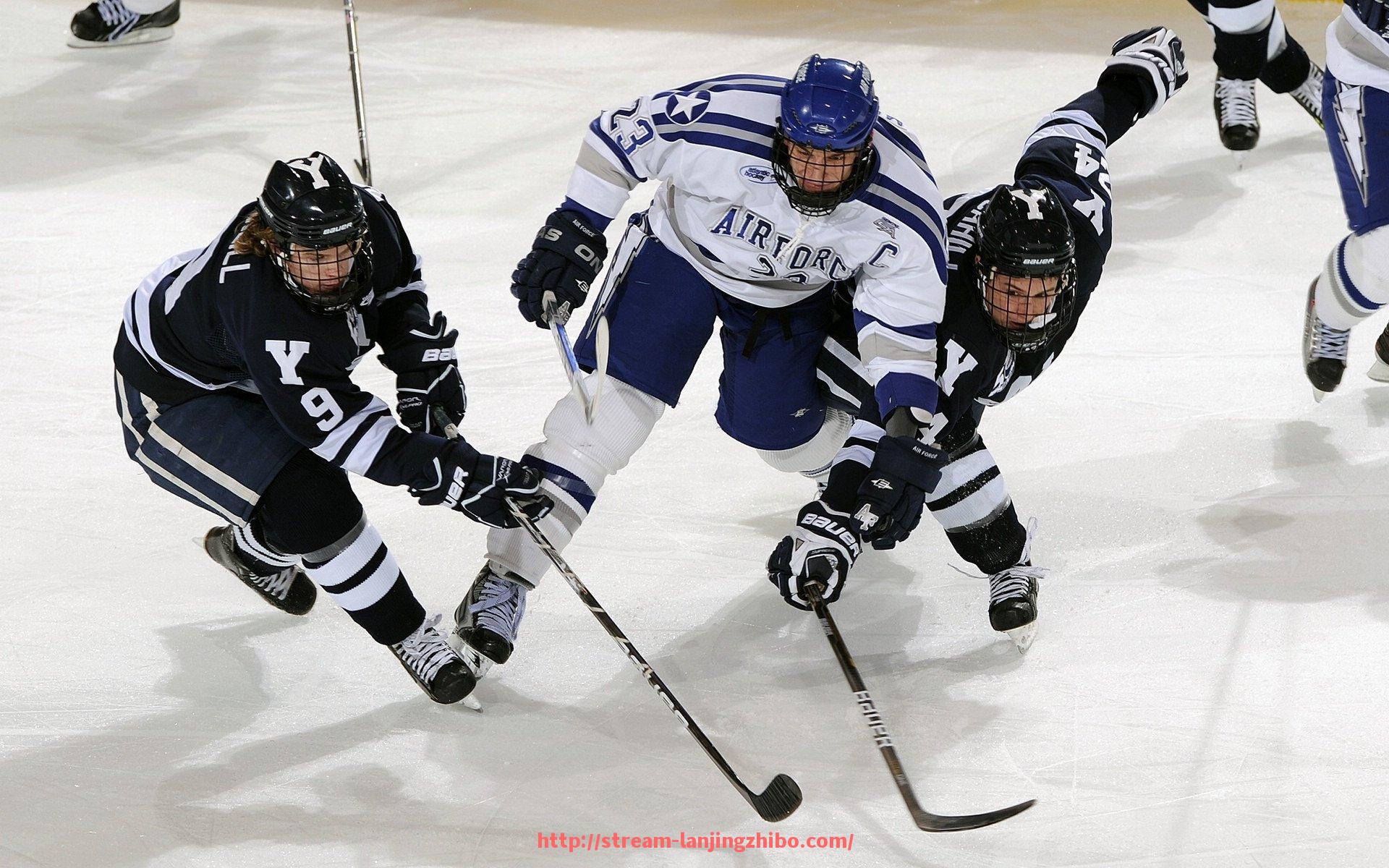 蓝鲸体育直播-火箭队国网合作项目及体育发展战略介绍